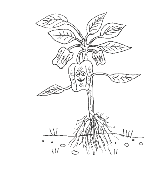 actual play recording – The Veggie Patch